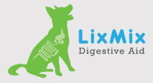 LixMix logo design